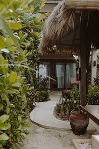 Empty Pathway Beside Green Plants