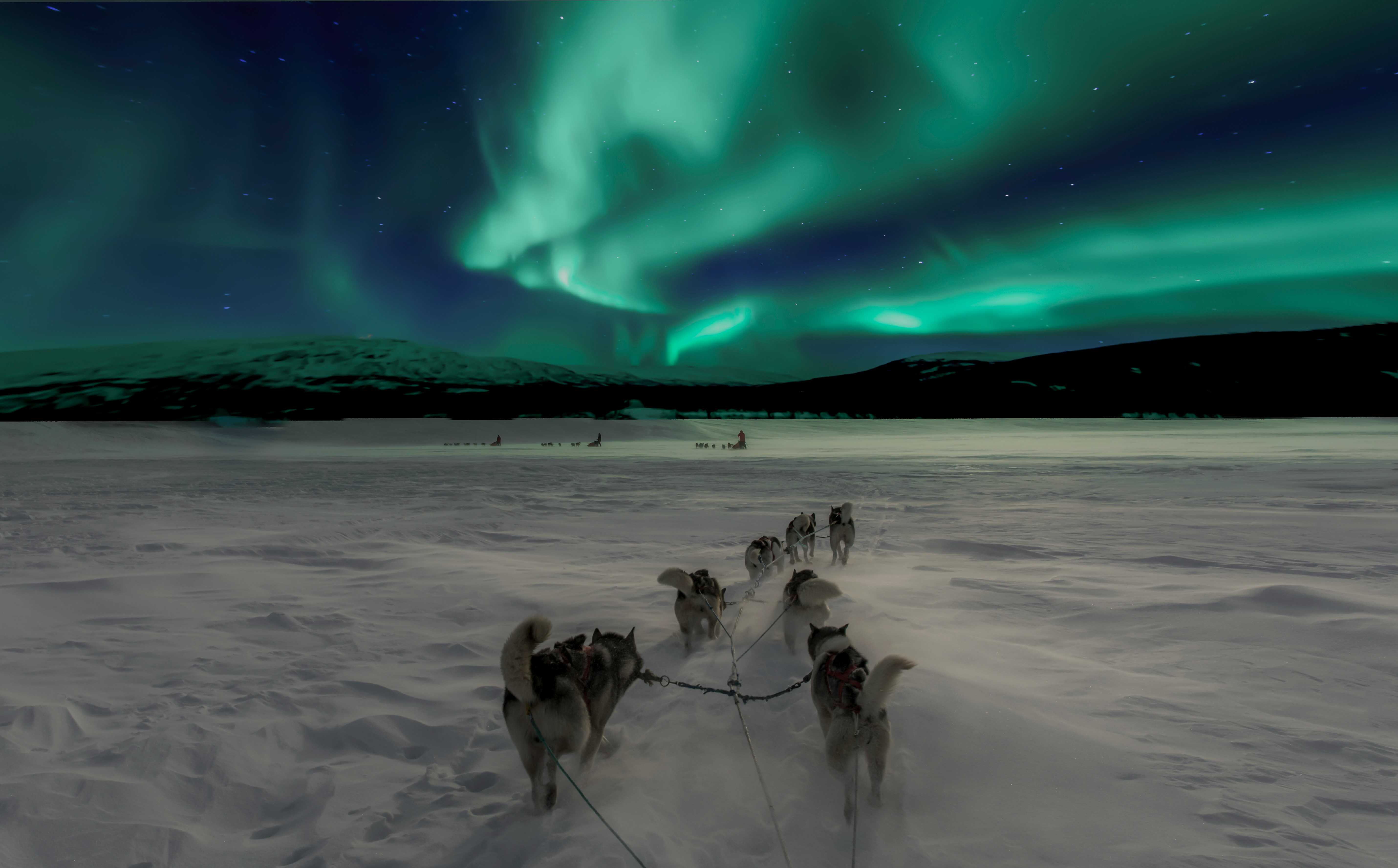 Dog sledding in Findland